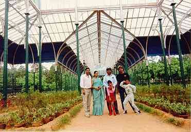 glasshouse