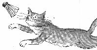 whiskers
