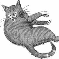 whiskers