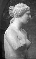 Aphrodite