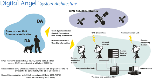 BIO CHIP COMPONENTS 