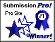 submission_pro_award.gif (3541 bytes)