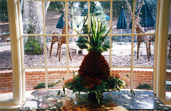  Photo-Christmas Display