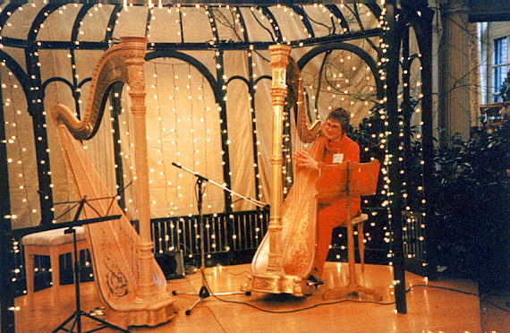  Photo-Harp Music