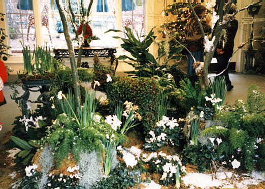  Photo-Floral Display