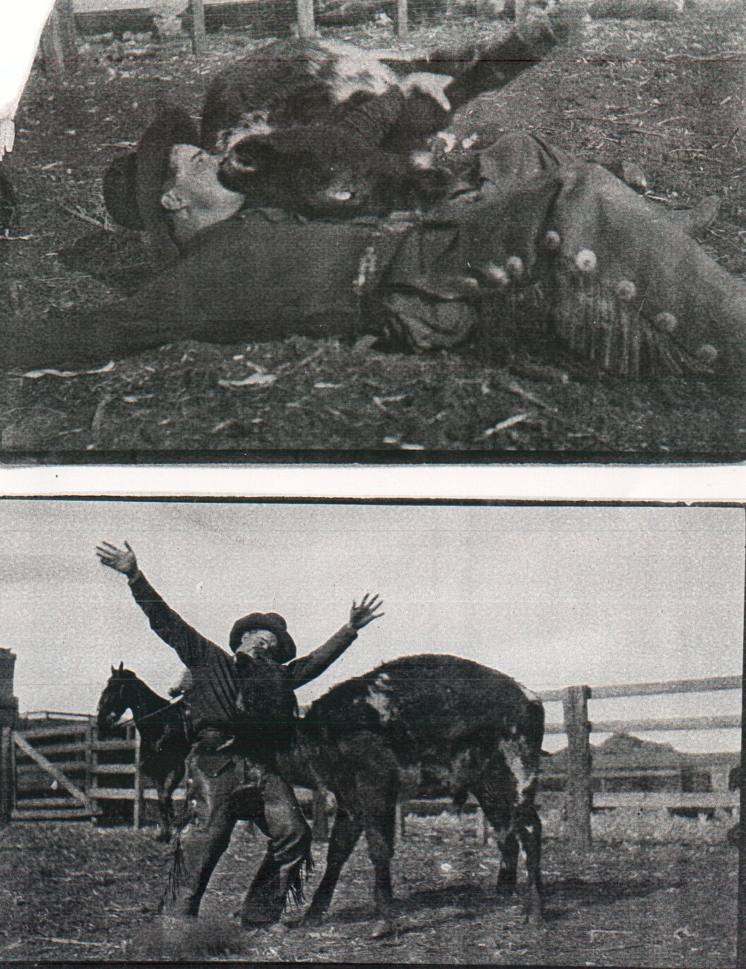 Edward Curtis throws a steer